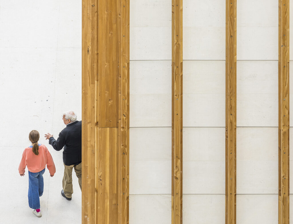 litotes_105_zoom_parements